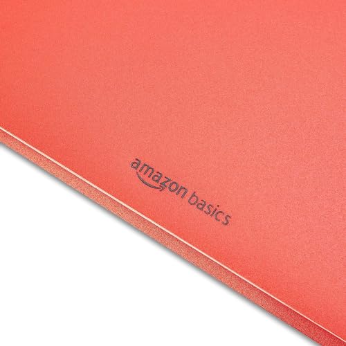 Basics Heavy Duty Plastic Folders with 2 Pockets for Documents, for Daily Use